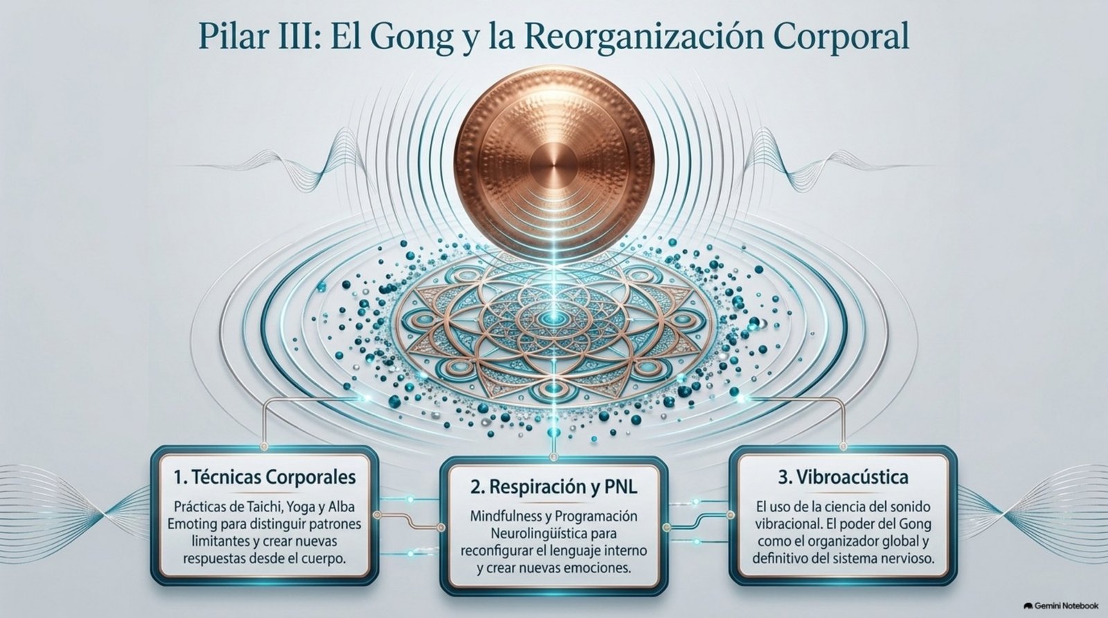 Pilar Gong y reorganización corporal