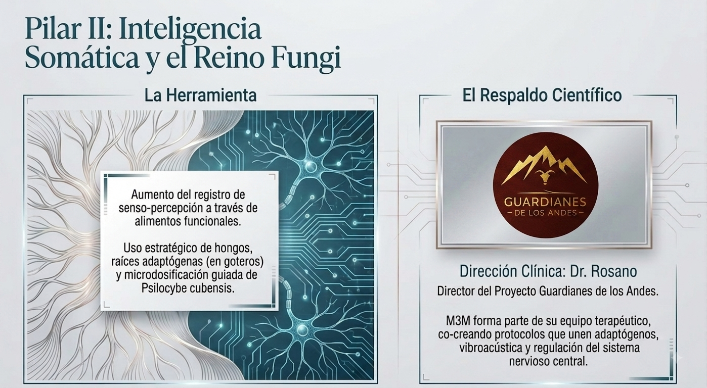 Pilar II: Inteligencia Somática y el Reino Fungi
