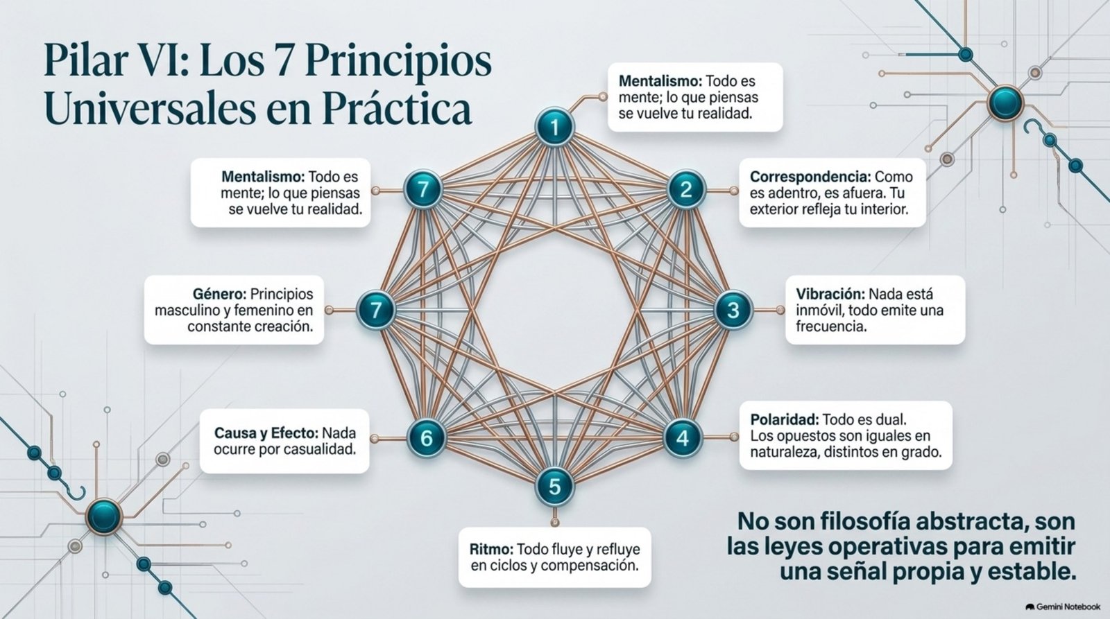 Los siete principios universales en M3M